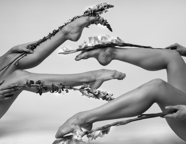 Architecture of Motion 0h3a8230 editar