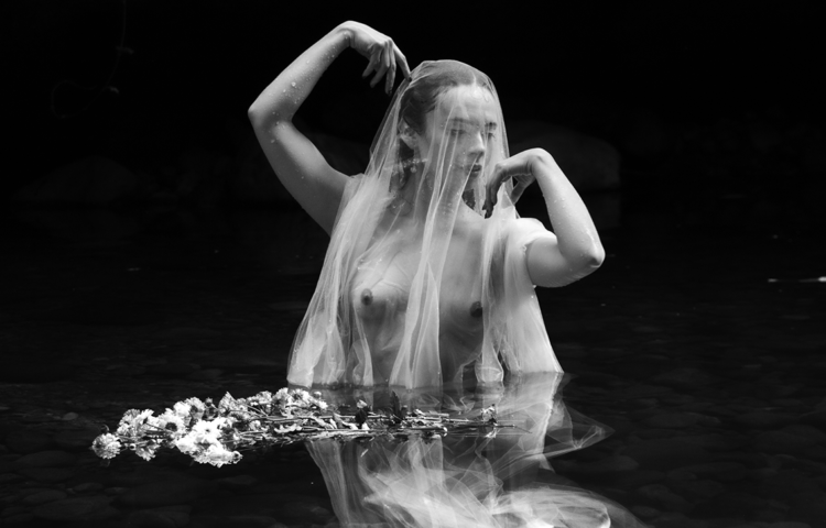 Architecture of Motion img 8149 editar